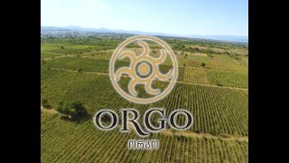 Teleda/Orgo Kakheti, Georgia. vineyards\u0026drone