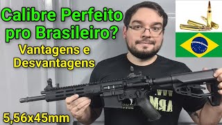 Calibre Perfeito pro CAC e Forças? Vantagens e Desvantagens do 5,56x45mm. Quem pode ter em 2024?