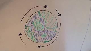 Capstone: Mentoring