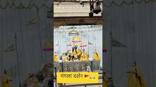 #shorts Radhe Krishna | Radha Govind Dev Ji darshan | Mangla Darshan | Govind Dev Ji Jaipur | live