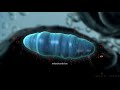 how do energy is produced inside our body learn through animated videos