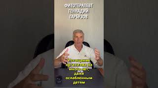 Кумыс – живой напиток в домашних условиях  #здоровье #полезно #гарбузов #пробиотик  #снижениевеса