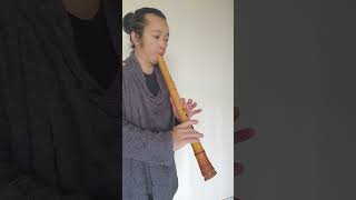 尺八奏者《见龙卸甲》 仙秋 藤卷水牛角  #shakuhachi #music #flute