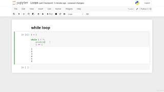 The while loop Python programming@35