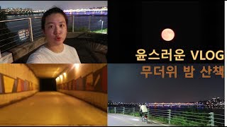 [윤스러운 일상 VLOG] 무더위 속 동생과 밤산책 #무더위#밤산책#매미습격#겁쟁이둘