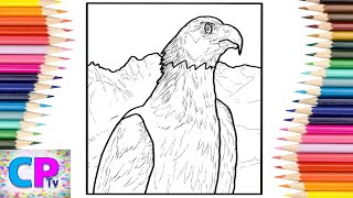 Eagle Coloring Pages/Wild Birds Coloring/Elektronomia - Dreams (Ft. Joseph Feinstein)