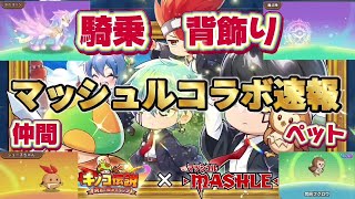 【キノコ伝説】マッシュルコラボ解説！最強騎乗＆最強背飾り登場！【キノコ伝説×MASHLE】