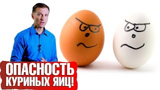 Чем опасны куриные яйца? Повышают ли яйца холестерин? 🍳