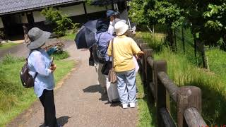 豊岡市コウノトリ郷公園