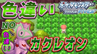 紫で騙されて人多数ポケトレで色違いカクレオンを捕獲せよ【ポケモンBDSP】 【ゆっくり実況】