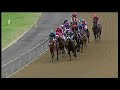 20200119 hollywoodbets greyville express clip race 4 won by arizona sunset