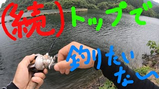 【バス釣り】竹山ダムの回復系は？