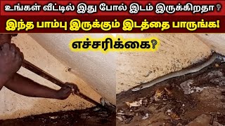 வீட்டில் இந்த பாம்பு இருக்கும் இடத்தை பாருங்கள் | எத்த தண்டி பாம்பு | Snake_Saga