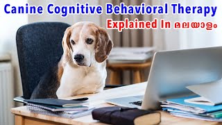 Canine Cognitive Behaviour Therapy (CCBT) Explained in Malayalam 🐶 CCBT എങ്ങനെ ചെയ്യാം ?