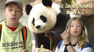 Le Zoo de Beauval de A à Z