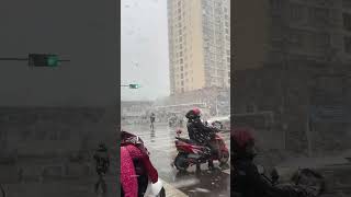 鹅毛大雪 河南下雪了  #下雪