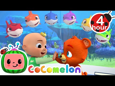 Learning Colors With Baby Shark  More  Cocomelon - Nursery Rhymes  Fun Cartoons For Kids