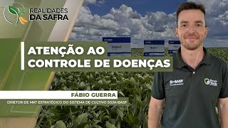 Terço final da lavoura de soja é importante para produtividade e precisa de atenção especial no c...