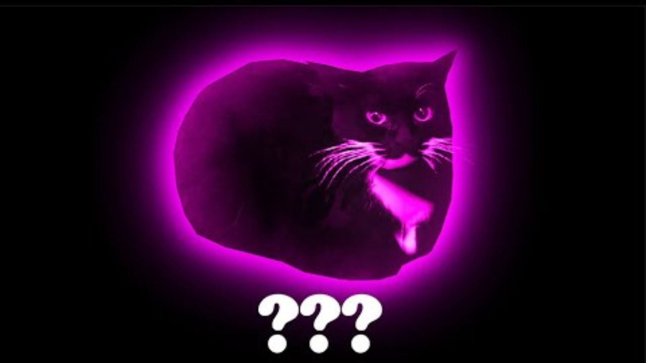 16 Maxwell The Cat Sound Variations In 50 Seconds Youtube