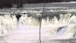 Cohoes Falls High Winter Flow