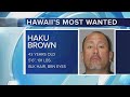 Hawaii's Most Wanted: Haku Brown.