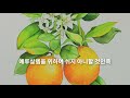 이스라엘암송말씀 10회반복 20201107