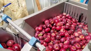 Full Pressing Line for Cider Making