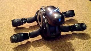 Sony AIBO ERS7 Startup