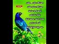 జీవిత సత్యాలు manchi matalu best motivational quotes jeevithasatyalu inspirationalquotes 59