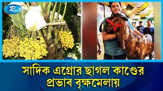 এবার বৃক্ষ মেলায়  বংশ মর্যাদাপূর্ণ খেজুর গাছ ১০ লক্ষ টাকা! | Tree  | Rtv news