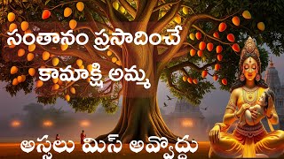 కంచి కామాక్షి శక్తిపీఠం ఆలయ పూర్తి చరిత్ర | Story of the Divine Guardian of Kanchipuram\