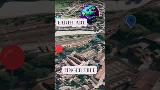 Google Earth - EARTH ART - OMG! 😱 FINGER TREE?? on Google maps #shorts #googleearth #googlemaps