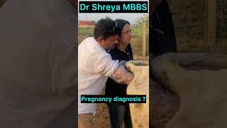 Pregnancy diagnosis l Dr umar khan