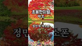 조용한이별/ 배호 / 정민재 색소폰 #shorts