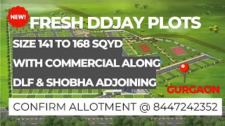 Ganga Realty Plots in Gurgaon  | Deen Dayal Plots in Gurgaon 2025 | DDJAY Plots in New Gurgaon 2025