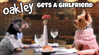 MISSION: DATE NIGHT - Funny Wiener Dog Date!