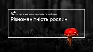 Різноманітність рослин (Водорості. Життєвий цикл. Вищі спорові). Відео 1 6 2 1