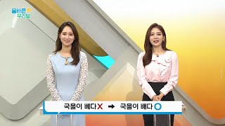 [올바른 우리말] (국물이) 배다 vs 베다? 틀리지 않게 사용하자!