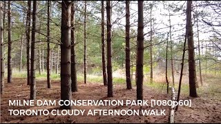 Toronto Cloudy Afternoon Walk - Milne Dam Conservation Park [1080p60]