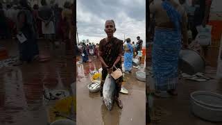 பெரிய கேரை மீன் #fish #market #fishvideos #neerody #fishrate