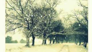 Tutorial Adobe Flash CS5- Snow Effect