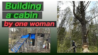 Building a Cabin in Estonia Forest by alone / DIY 女子 あるもので小屋を建てる / English sub