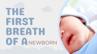 The Miraculous Moment Baby's First Breath.
