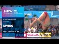 Diving - Men's 1m Springboard | Top Moments | FINA World Championships 2019 - Gwangju