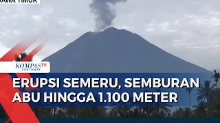 Gunung Semeru Erupsi, Semburkan Abu Setinggi 1.100 Meter