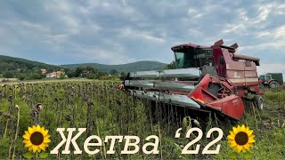 Zetva suncokreta - adaptacija bez kljunova - Case IH 525