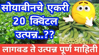 सोयाबीन पिकाची लागवड व व्यवस्थापन | सोयाबीन पेरणी कशी करावी | soyabean perani | soybean lagwad |