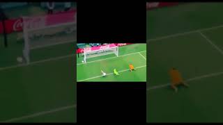 Argentina vs Netherlands FIFA world Cup 2022 || Fast Goal for Argentina || #shorts #argentina