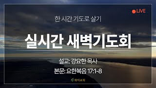 [화미교회] 24.12.19 | 실시간 새벽예배 | 요 17:1-8 | 강요한 목사