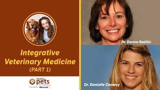 Dr. Becker, Dr. Raditic, and Dr. Conway on Integrative Veterinary Medicine (Part 1)